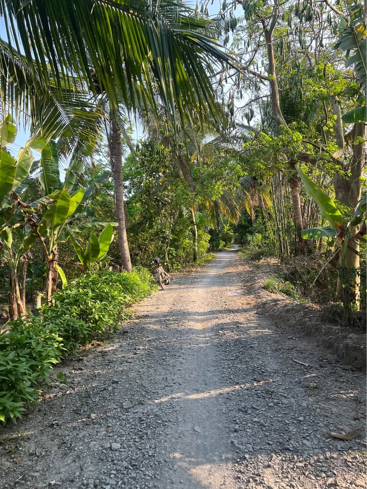 Đất Vườn 2144m² Tại Hậu Giang - Sổ Hồng Riêng, Giá Đầu Tư 1.05 Tỷ