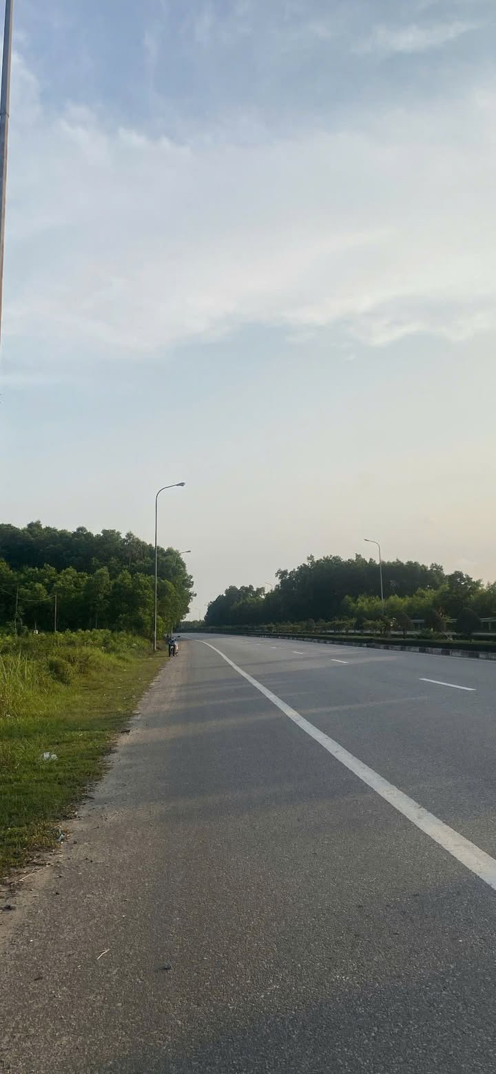 Đất nền Bình Hòa Bình Sơn 4.000m² - Đường to ô tô