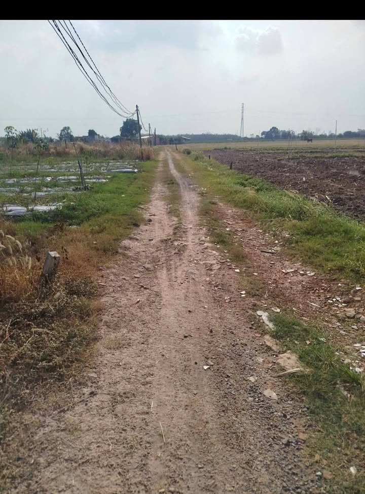 Bán đất 10.000m² mặt tiền đôi Ninh Phúc, Châu Thành, Tây Ninh - 5 tỷ