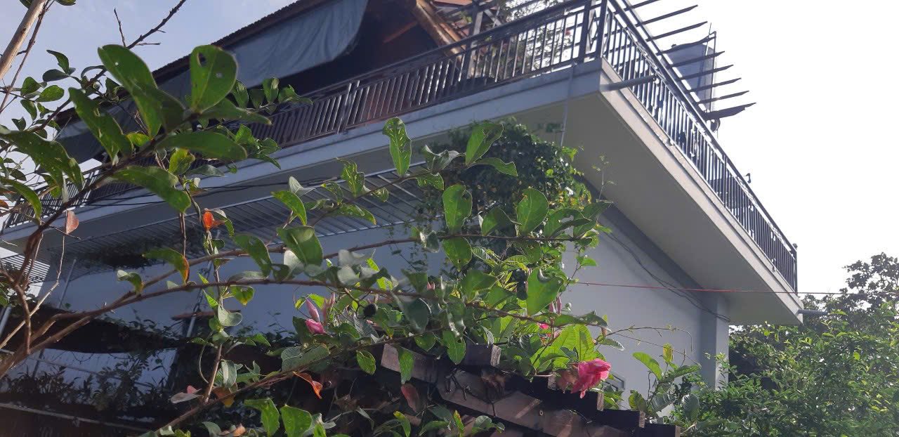 Bán Gấp Nhà Vườn Bình Ba Châu Đức 2565m² - Giá 6.5 Tỷ