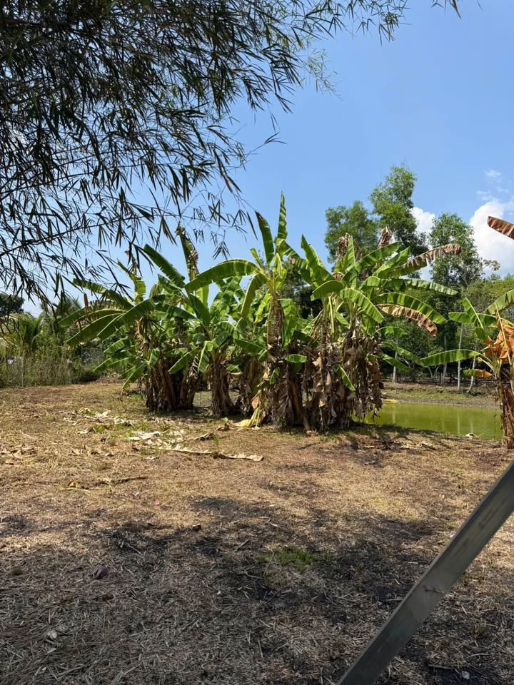 Đất nền Bảo Vinh Long Khánh 500m² 490 triệu - Sổ đỏ chính chủ