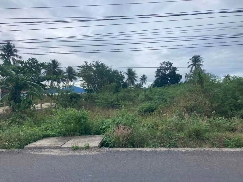 Đất Nguyễn Huệ Bắc Vân Phong 1.200m² 12 tỷ - Sổ đỏ chính chủ