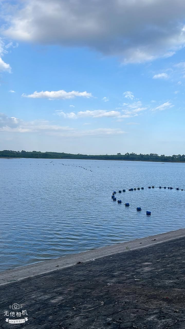 Bán Đất Nông Nghiệp 10.000m² Xã Lang Minh, Đồng Nai - Giá 4 Tỷ