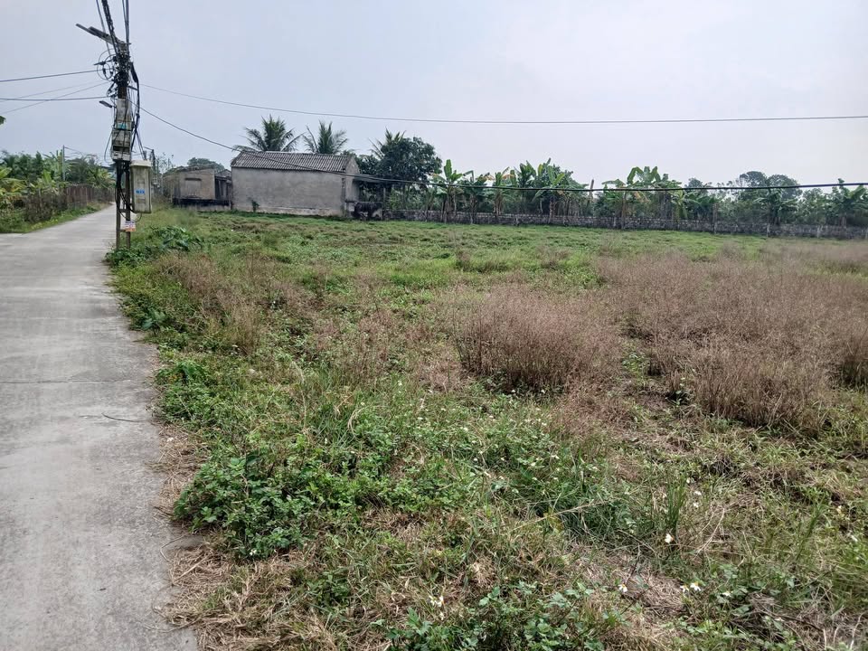 Bán Gấp Đất Ruộng 3980m² Xã Đông Xá, Thái Bình - Tiềm Năng Đầu Tư Lớn