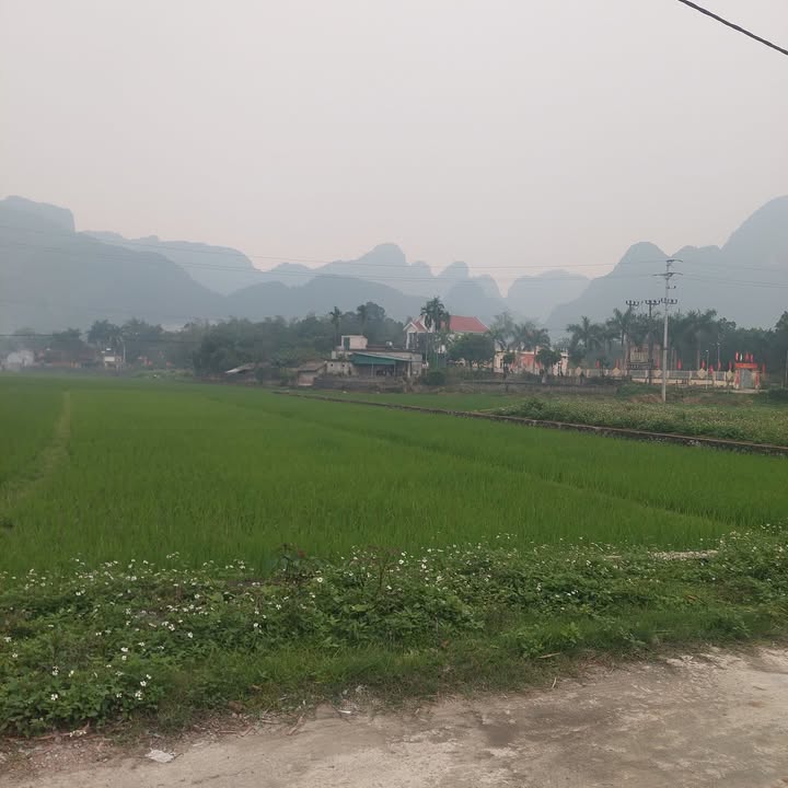 Đất Phú Nghĩa Hòa Bình 240m² 900 triệu - Sổ đỏ chính chủ