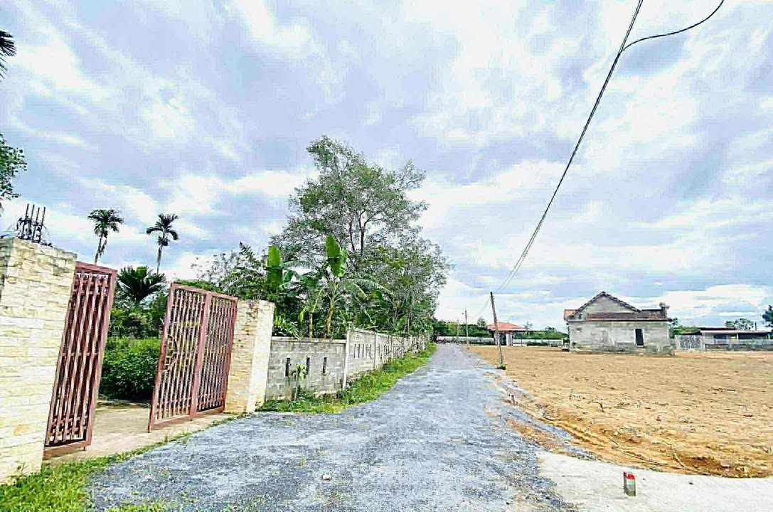 Đất nền Nông trường Thắng Lợi 137m² 300-399 triệu - Sổ đỏ chính chủ