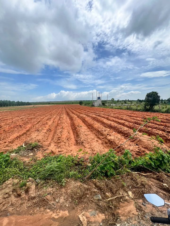 Farm Tiến Thành Phan Thiết Bình Thuận 1ha - Pháp lý rõ ràng