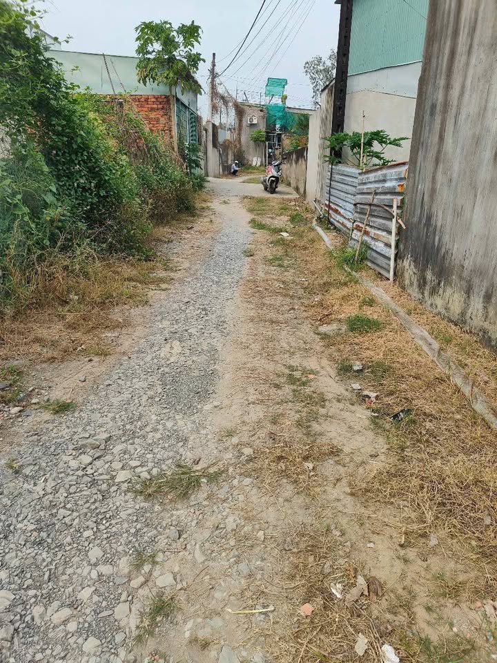 Đất nền Tân Thạnh Đông Củ Chi 375m² 3.4 tỷ - Sổ đỏ chính chủ