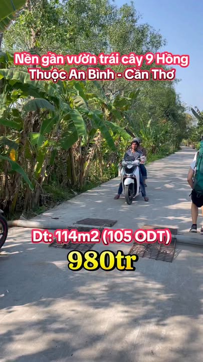 Bán nền 114m² Cần Thơ - Gần Vườn Trái Cây 9 Hồng, Giá 980 Triệu