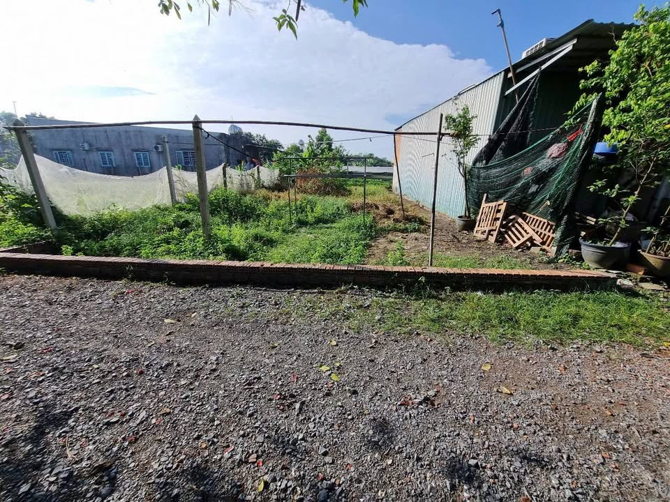 Bán Đất 142m² Gần Hồ Văn Tắng, Củ Chi - Giá 2.3 Tỷ