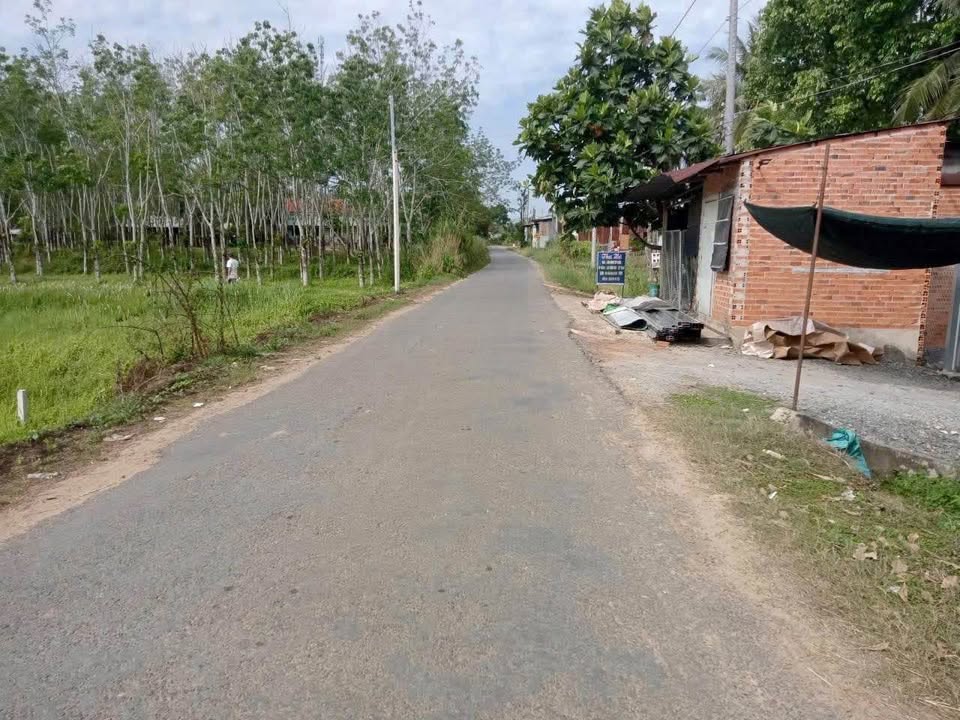 Đất nền Trảng Bàng, Tây Ninh - 450m² đường nhựa, hậu đẹp, giá 7xx triệu