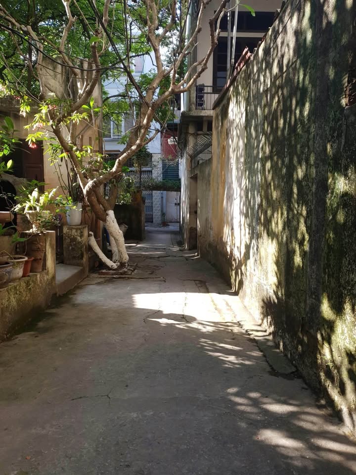 Đất Vĩnh Tuy Nguyễn Văn Viên 100m² 15 tỷ - Sổ đỏ chính chủ