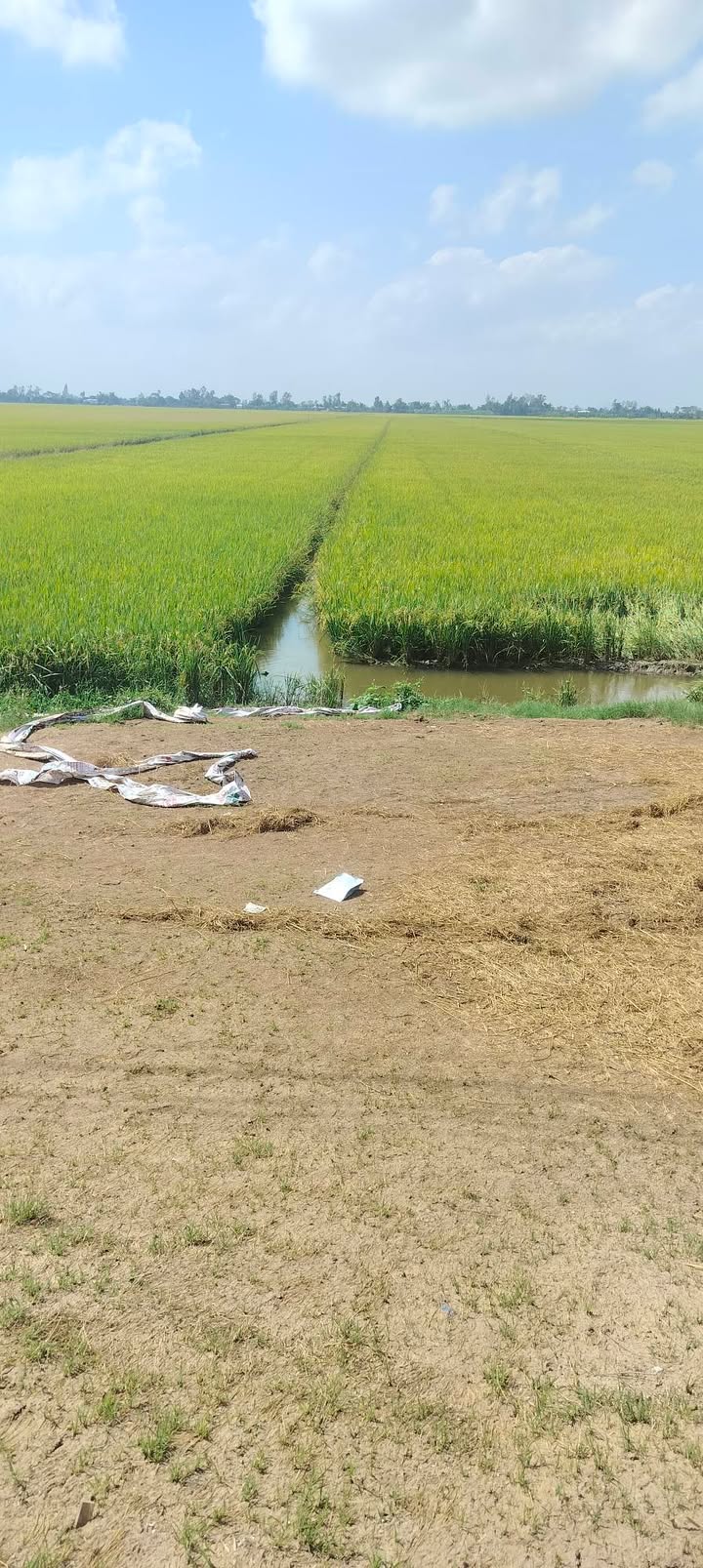 Đất nền Vĩnh Thành Châu Thành 15.000m² 2.85 tỷ - Thổ cư 100%