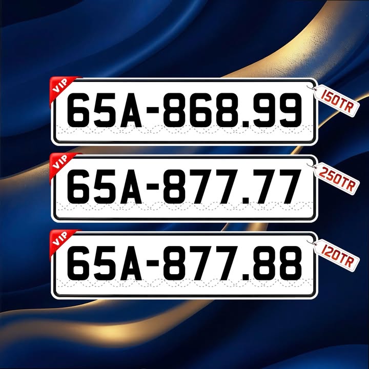 Bán Gấp Đất Vườn 28.000m² Mặt Tiền 60m Đường 4, Ô Môn - Tiềm Năng Kho Xưởng