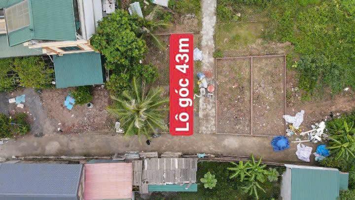 Đất nền Vin Olimpic Kim Lâm 43m² 2 tỷ - Sổ đỏ chính chủ