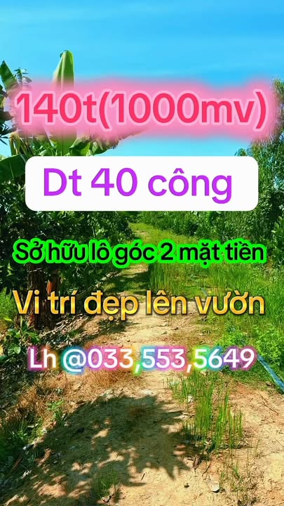 Đất Vườn Long An 40.000m² - Giá 1.4 Tỷ, Sẵn Sổ Hồng, Vượng Khí Đông Nam