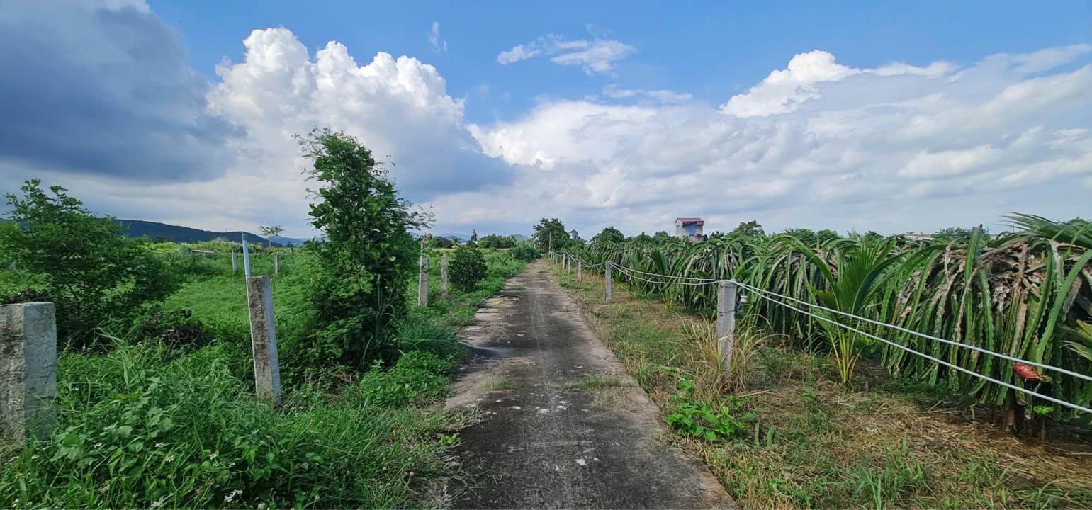 Nhà yến Thuận Hòa Phú Hài 540m² 850 triệu - Đầu tư dài hạn