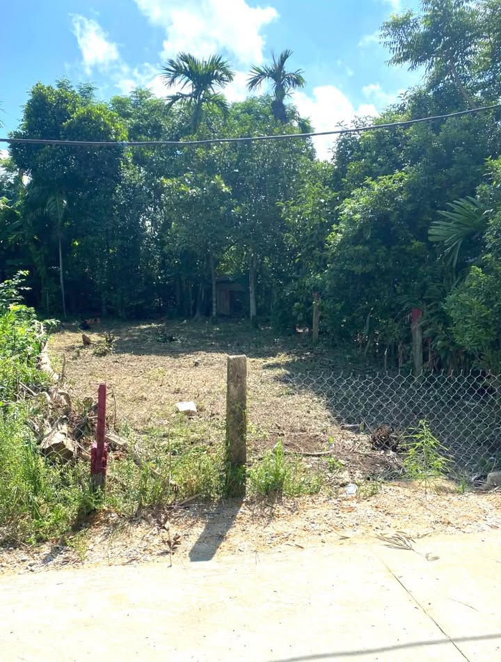 Đất Kiệt Oto Hương Chữ, Thừa Thiên Huế - 104m² Sổ Hồng Sẵn Sàng