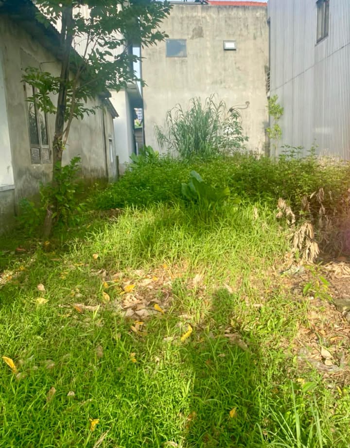 Đất Nền Kiệt Ô Tô Hoàng Quốc Việt, Huế - 120m² Giá 2.99 Tỷ