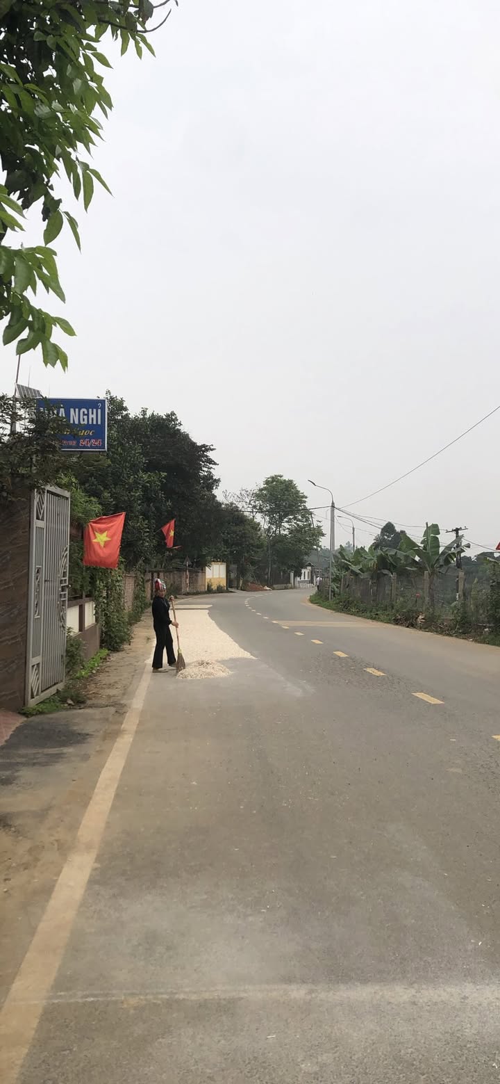 Bán đất nền 160m² thổ cư, mặt tiền 6m tại Lâm Thao, Phú Thọ - Gần KCN