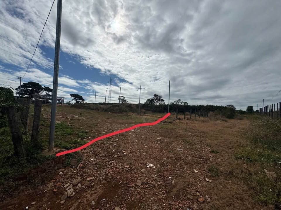 Đất Nền Diên Hồng 140m² - Giá Chỉ Từ 4 Tỷ, Sổ Đỏ Sẵn Sàng