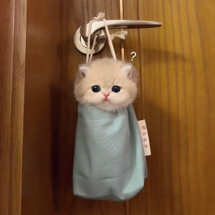 Nhà Mặt Tiền Đường Trường Sơn, Pleiku - 85m² Giá 1.9 Tỷ