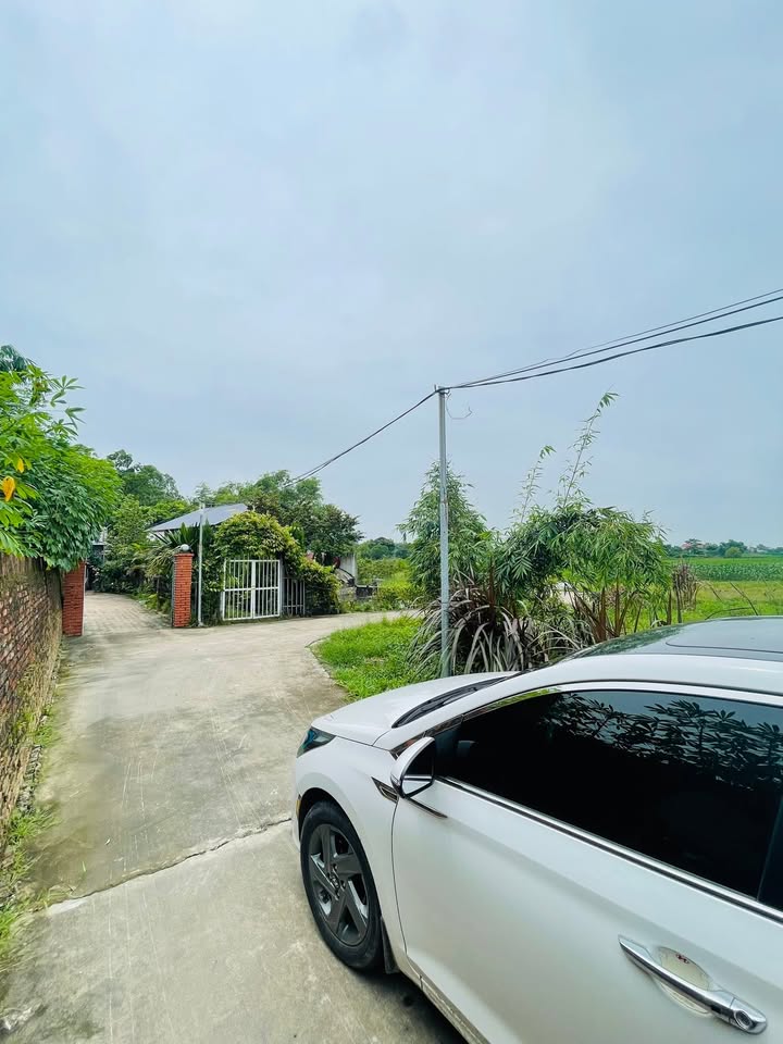 Đất nền Cao Xá, Tân Yên 259m² - Tiềm năng tăng giá vượt trội!