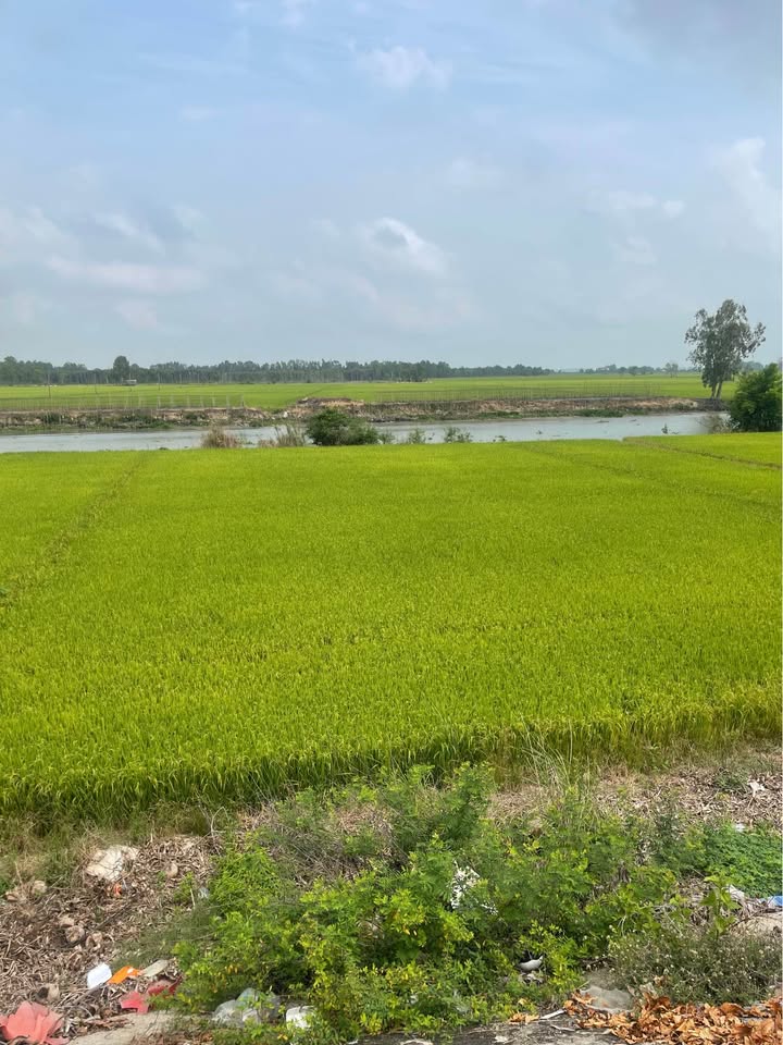 Đất TL955A Vĩnh Tế 2.040m2 1,468 tỷ - Sổ đỏ chính chủ