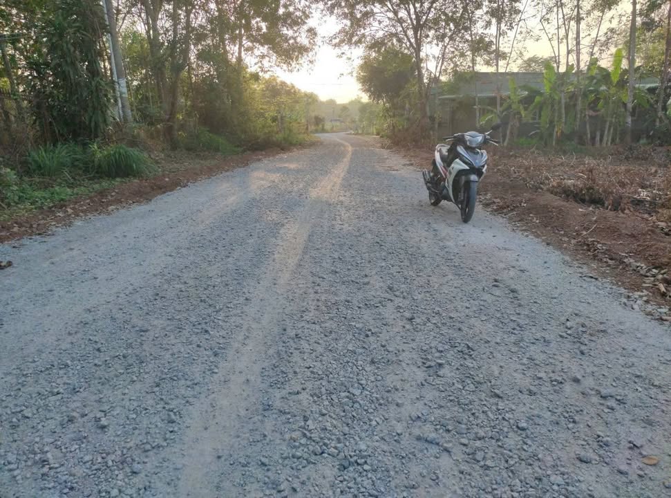 Đất Long Nguyên Bàu Bàng 225m² 700 triệu - Tiềm năng tăng giá