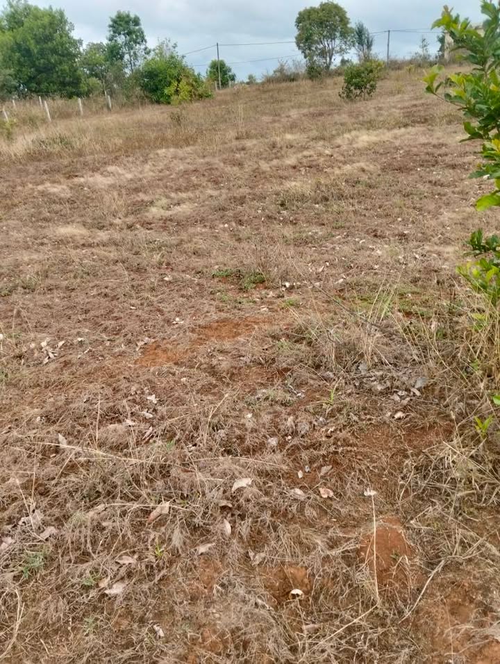 Bán Đất Nền Đăk Pơ Gia Lai 864m² - Sổ Hồng Sẵn Sàng