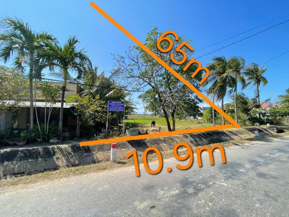 Đất nền Ninh Thọ Ninh Hòa 620m² 2.129 tỷ - Sổ đỏ chính chủ