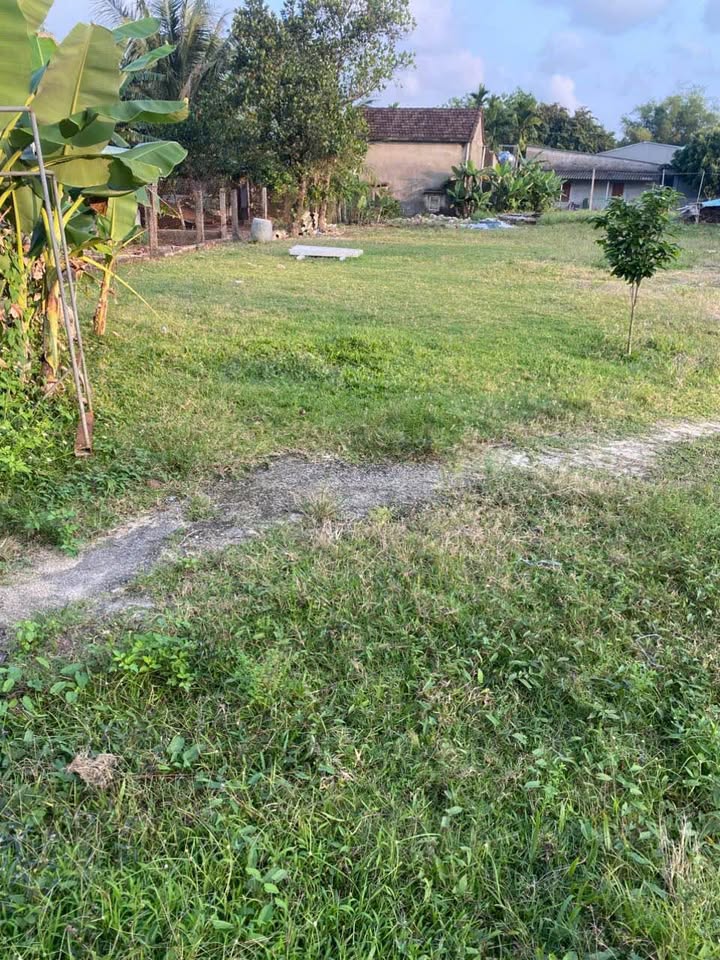 Bán Đất 150m² Xuân Phú, Quảng Nam - Sổ Đỏ Thổ Cư, Giá Đầu Tư