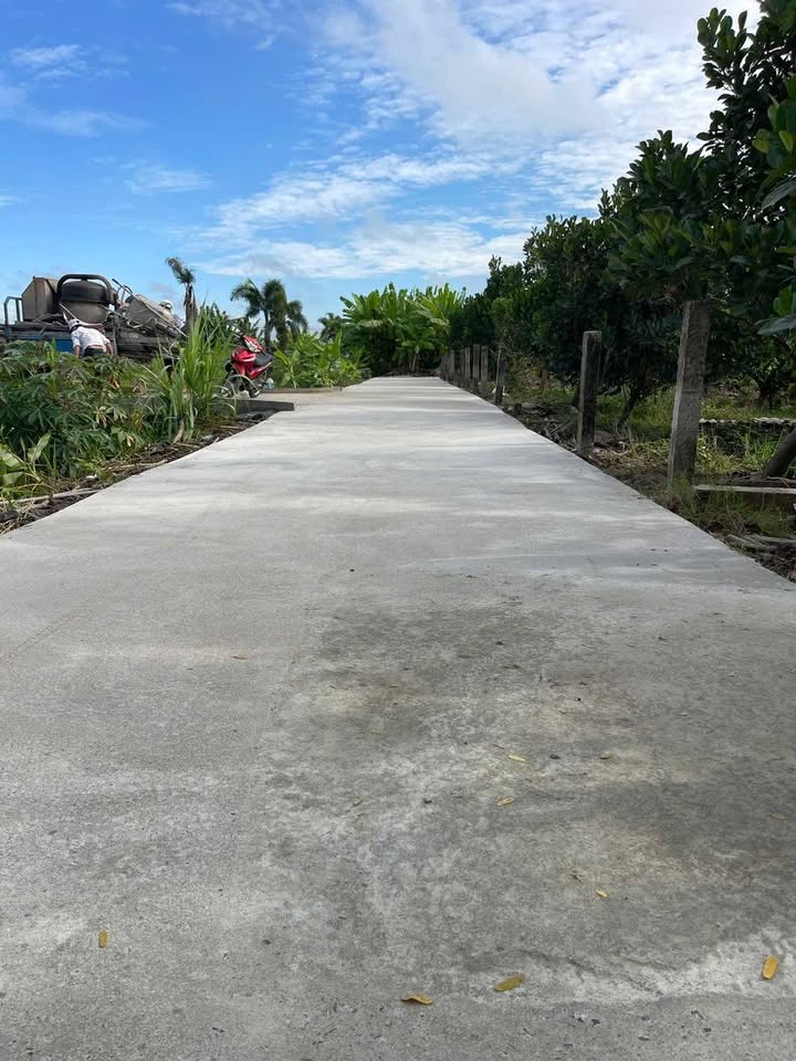 Đất Nền Long An: 5m x 25m Giá Chỉ 570 Triệu, View Kênh Thoáng Mát