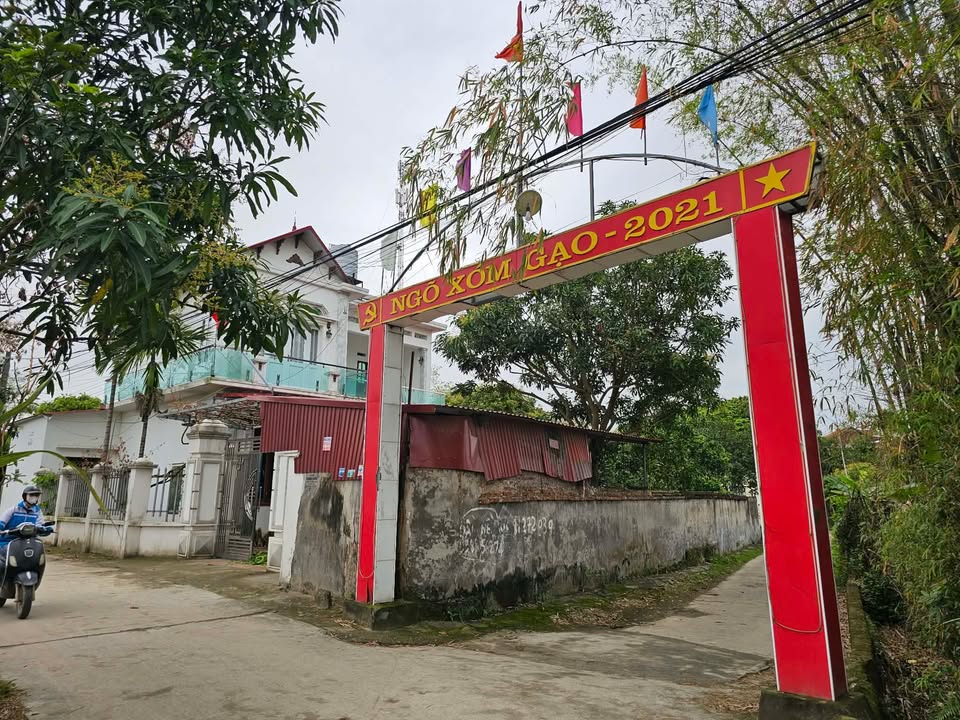 Đất nền Đồng Phúc Bắc Giang 100m² 1.2 tỷ - Sổ đỏ chính chủ