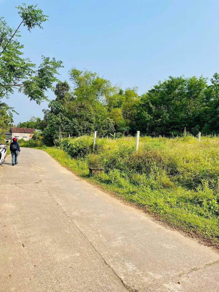 Đất Nền Phú Ninh 170m² - Mặt Tiền DX1, Hướng Đông Bắc - Giá Tốt