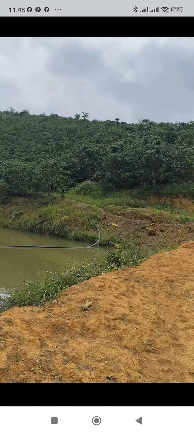 Bán Đất Farm 15000m² Tân Kiên, Bình Chánh - Giá Tốt Nhất Khu Vực