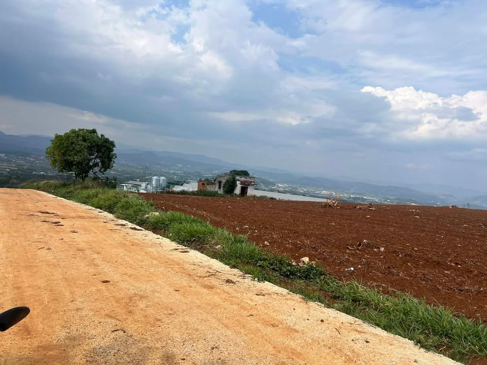 Bán Đất Nền 20.000m² Lâm Hà, Lâm Đồng - Sổ Đỏ, Mặt Đường Bê Tông