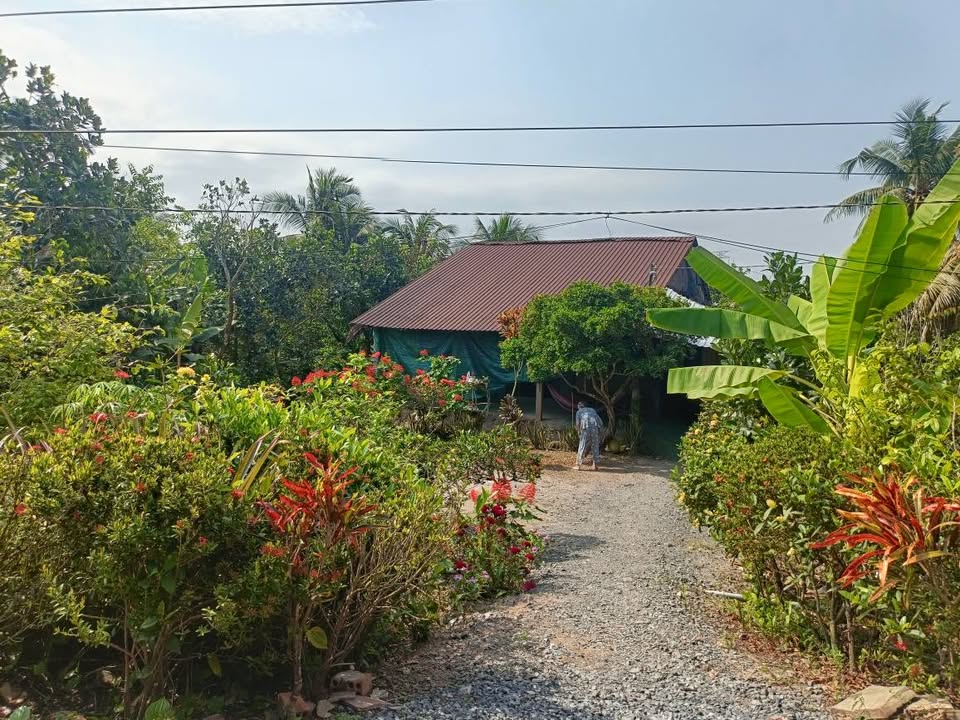 Bán Gấp Đất Mặt Tiền Đồng Tháp 2.137m² - Giá 1.39 Tỷ