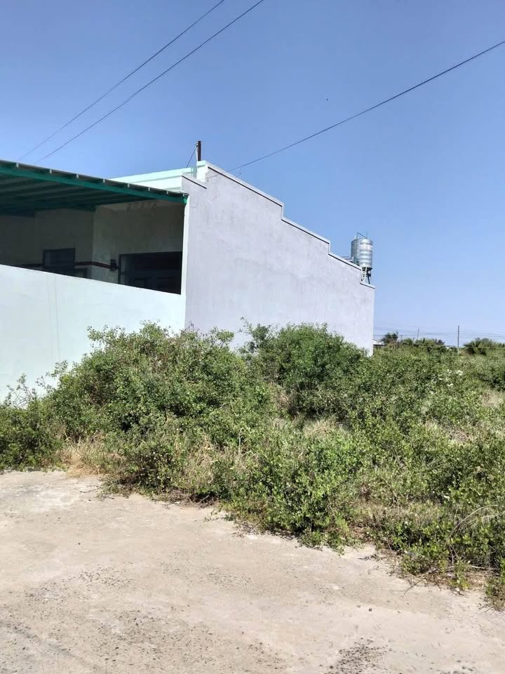 Bán Gấp 2 Lô Đất Sổ Chung 100m² Hàm Thắng, Bình Thuận - Giá 250 Triệu/Lô