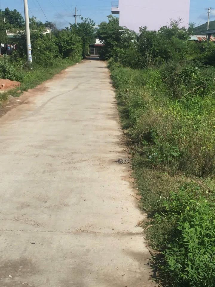 Bán Đất Nền 396m² Hàm Thuận Bắc, Bình Thuận - Sổ Hồng Riêng, Gần QL28