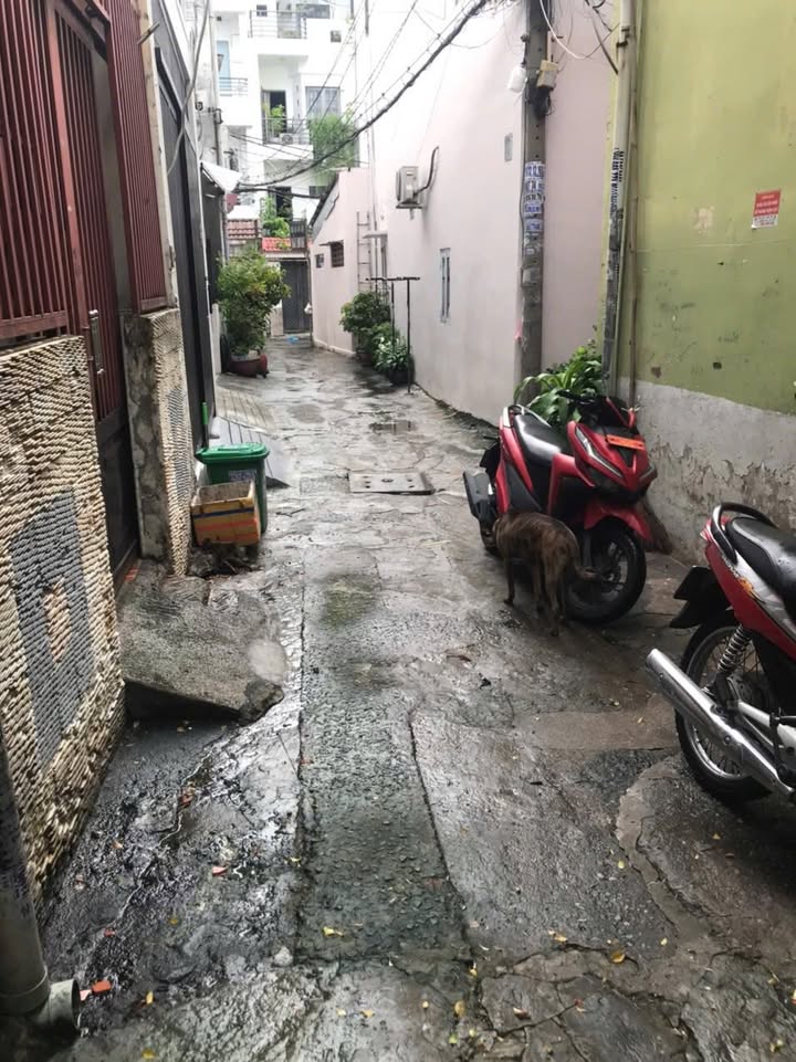 Nhà riêng Gò Vấp Lê Đức Thọ 42m² 4.45 tỷ - Chính chủ