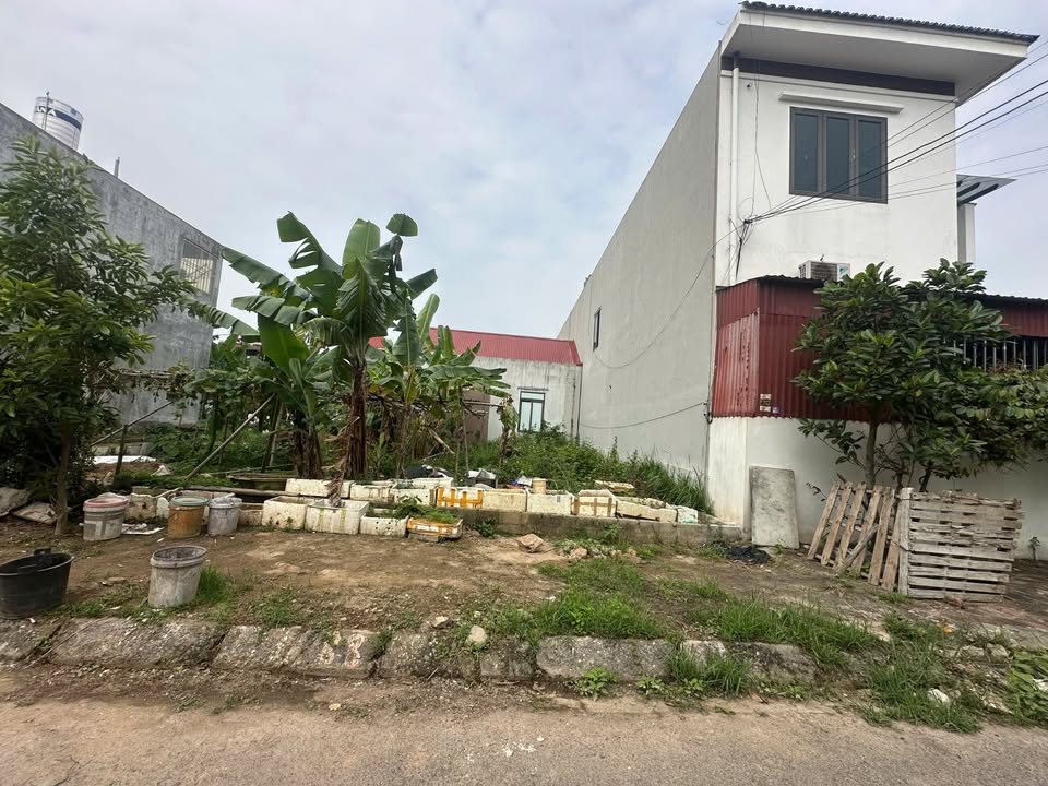 Đất nền 50m² Đồ Sơn - Trung tâm du lịch, 2.x tỷ