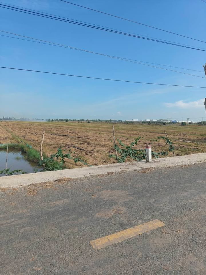 Đất vườn Phú Cường Tam Nông 54000m² - Sổ hồng rõ ràng