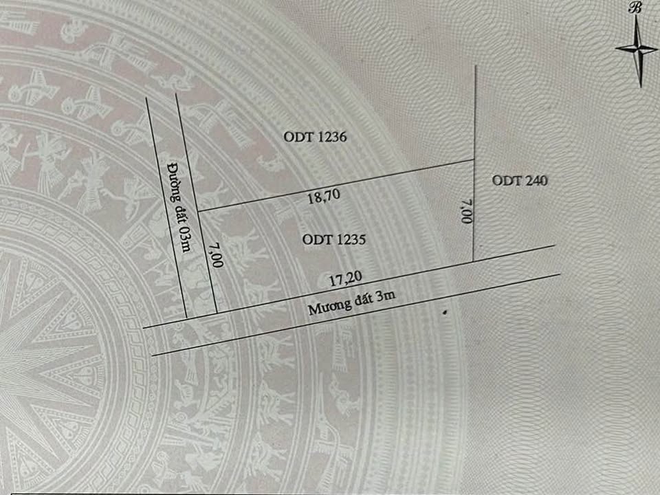 Đất nền Điện Nam Đông 126m² - Đường to ô tô