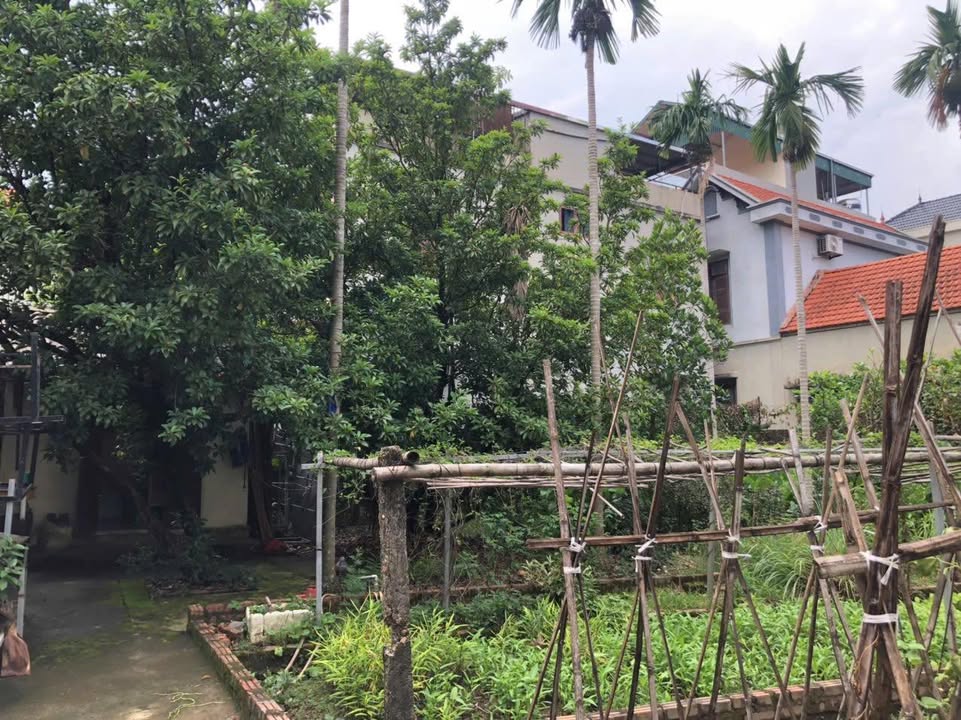 Đất Đan Phượng 160m² - Sổ Đỏ Sẵn Sàng, Tiềm Năng Tăng Giá Cao