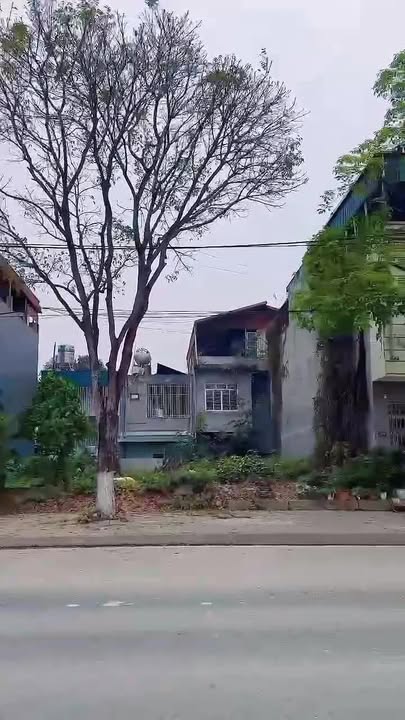 Đất Nền Lào Cai 100m² Hướng Đông Nam - Giá Tốt