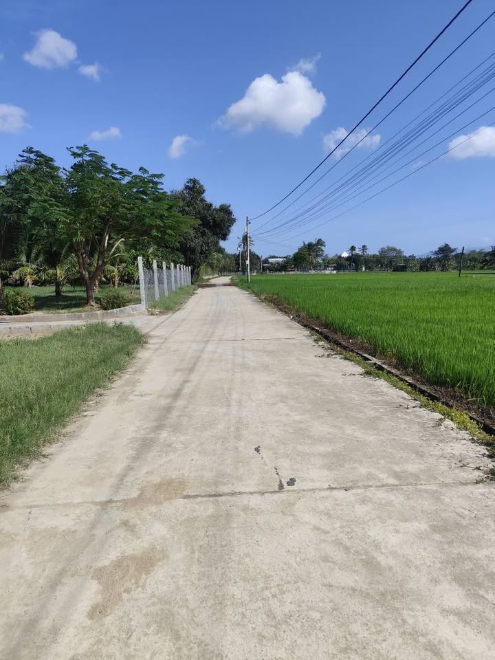 Đất nền Cam Phước Đông, Cam Ranh 126m² - Chỉ 650 triệu, Sổ đỏ sẵn sàng