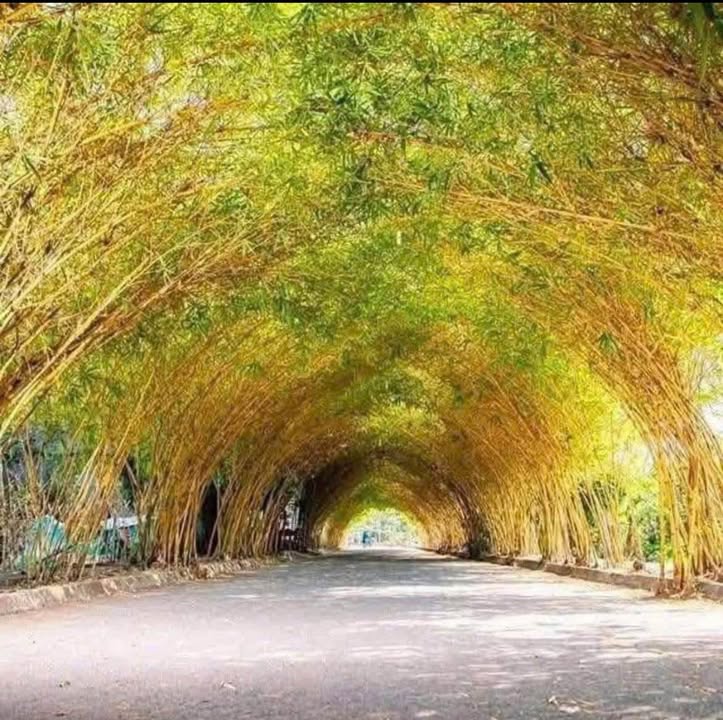 Đất nền Vườn Trúc Tiền Hải 108m² 1.1 tỷ - Sổ đỏ chính chủ