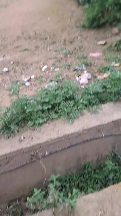 Đất nền Tam Điệp 216m² 1 tỷ - Sổ đỏ chính chủ, xây tự do