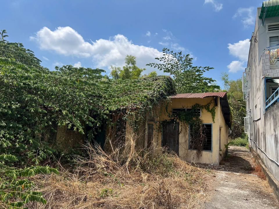 Đất nền Thủ Đức 900m² giá 13 tỷ - Giá tốt hiếm có